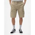 Shorts/Bermuda sur Grenoble : Short Dickies 47953
