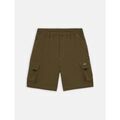 Shorts/Bermuda sur Grenoble : Short Dickies 66606