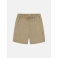Shorts/Bermuda sur Grenoble : Short Dickies 86910