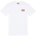 Tee-shirts sur Grenoble : T-shirt Diesel 62454