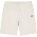 Shorts/Bermuda sur Grenoble : Short Dickies 91262