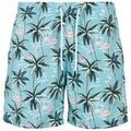 Shorts/Bermuda sur Grenoble : Short Urban Classics TN1668