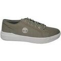 Baskets homme sur Grenoble : Baskets basses Timberland tb_0a67e1_er9
