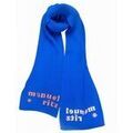 Echarpe Manuel Ritz 3532s7102-b