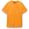 Tee-shirts sur Grenoble : T-shirt Napapijri 87794