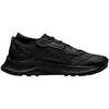 Chaussures Nike Pegasus 3 Gtx