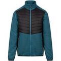 Vestes sur Grenoble : Blouson Trespass Hanlonton