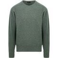 Pull William Lockie Pullover O-neck Lambswool Landscape Green