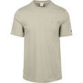 Tee-shirts sur Grenoble : T-shirt Cast Iron T-shirt Sage Vert