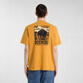 T-shirt Dickies Darrtown ss tee