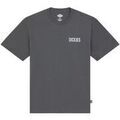 Tee-shirts sur Grenoble : T-shirt Dickies WOLFHURST SS TEE