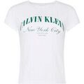 T-shirt Calvin Klein Jeans Ss Graphic Logo Baby Grenoble