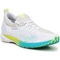 Running sur Grenoble : Chaussures Mizuno Wave Duel 2