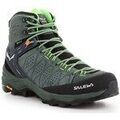 Randonn&eacute;e sur Grenoble : Chaussures Salewa MS Alp 2 Mid Gtx Vert