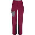 Pantalons sur Grenoble : Pantalon Salewa Comici
