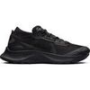 Chaussures Nike Pegasus Trail 2 Gtx