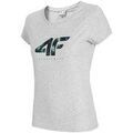 Tee-shirts sur Grenoble : T-shirt 4F TSD030