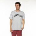 T-shirt Champion Harvard Grenoble