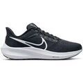 Chaussures Nike Air Zoom Pegasus 39 Grenoble