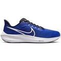 Running sur Grenoble : Chaussures Nike Air Zoom Pegasus 39