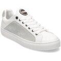 Baskets homme sur Grenoble : Baskets basses Colmar Bradbury Out