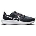 Running sur Grenoble : Chaussures Nike Pegasus 39 Extra Wide