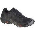 Running sur Grenoble : Chaussures Salomon Speedcross 6 Gtx