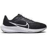 Chaussures Nike Pegasus 40