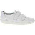 Baskets femme sur Grenoble : Baskets basses Ecco Soft 20