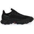 Chaussures Salomon Alphacross 5 Gtx