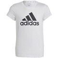 T-shirt adidas Big Logo Tee Jr Grenoble
