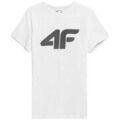 T-shirt 4F 4FAW23TTSHM087710S