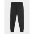 Sportswear sur Grenoble : Jogging 4F 4FAW23TTROF47