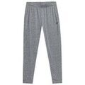 Jeans/Pantalons sur Grenoble : Pantalon 4F Treningowe M&ecirc;skie Szare Gris
