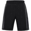 Pantalon Alpine Pro LPAB665990