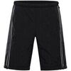 Pantalon Alpine Pro Werm