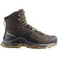 Randonn&eacute;e sur Grenoble : Chaussures Salomon quest gore-tex multicolor