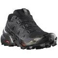 Chaussures Salomon Speedcross 6 Gtx Grenoble