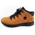 Randonn&eacute;e sur Grenoble : Chaussures Timberland TB0A2FEP231 multicolor