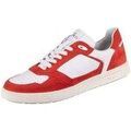 Baskets basses Sioux Tedroso 704