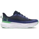 Chaussures Under Armour Infinite Pro
