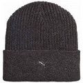 Bonnets sur Grenoble : Bonnet Puma Metal Cat Beanie