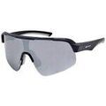 Lunettes sur Grenoble : Lunettes de soleil Arctica S339