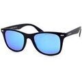 Lunettes sur Grenoble : Lunettes de soleil Arctica S240C