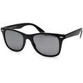 Lunettes sur Grenoble : Lunettes de soleil Arctica S240