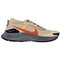 Running sur Grenoble : Chaussures Nike Pegasus Trail 3 Gtx