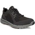 Baskets basses Ecco Terracruise Ll Gtx Tex