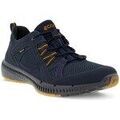 Baskets basses Ecco Terracruise Ll Tex Gtx