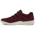 Baskets femme sur Grenoble : Baskets basses Ecco Terracruise Lt