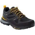 Randonn&eacute;e sur Grenoble : Chaussures Jack Wolfskin Force Striker Texapore Low multicolor